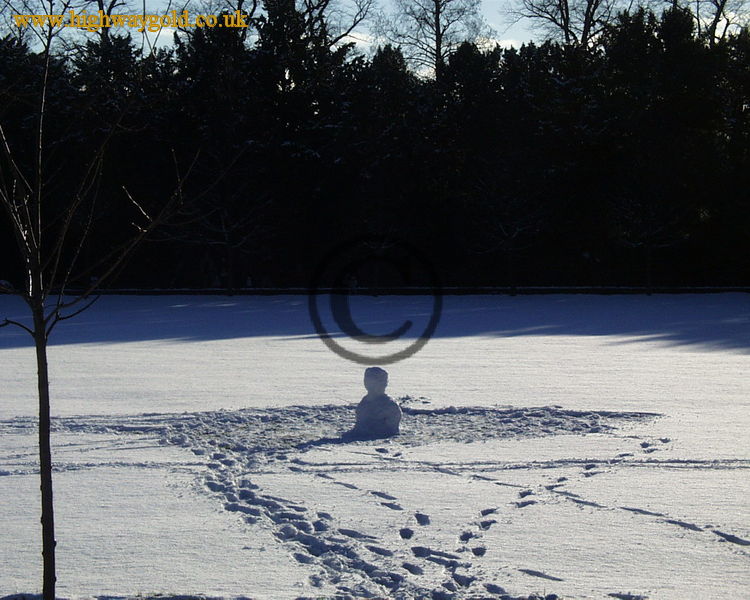 Snow 'Bust'