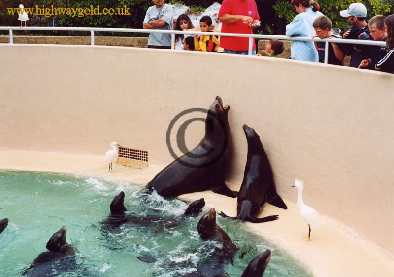 Sea World