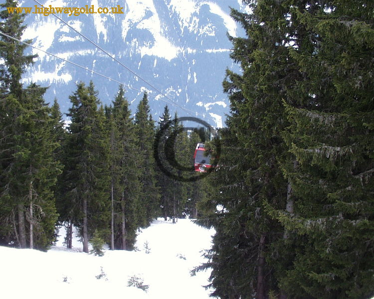 Fifteen Person Gondola