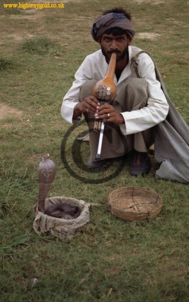Snake Charmer
