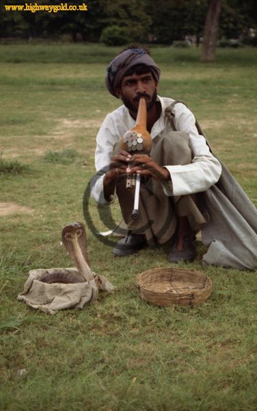 Snake Charmer