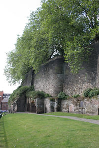 Castle Wall