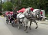 Horse and Carriage
