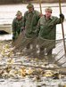 Carp Fishermen