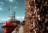 Lumber Port in Skulte