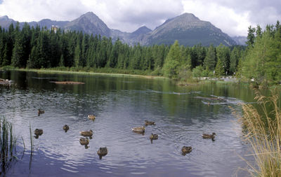 Lake Strbske Pleso