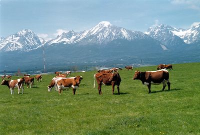 The High Tatras Mountains