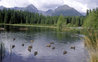 Lake Strbske Pleso