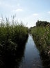 Wicken Fen