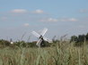 Wicken Fen