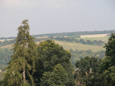 Basildon Park