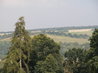 Basildon Park