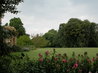 Basildon Park