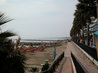 Marbella