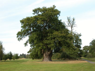 Brocket Hall