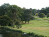Brocket Hall