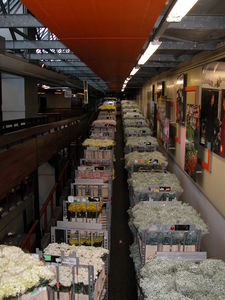 FloraHolland