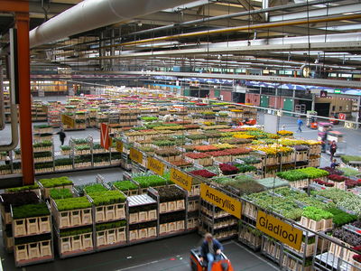 FloraHolland