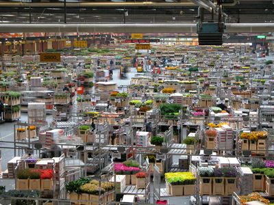FloraHolland