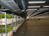 FloraHolland