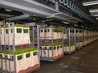 FloraHolland