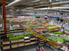 FloraHolland