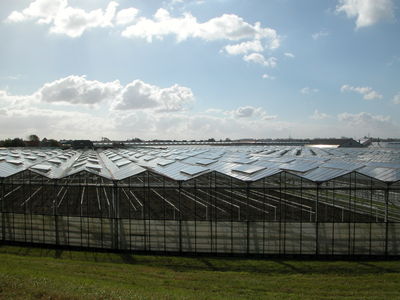 Greenhouses