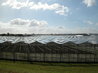 Greenhouses