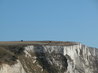 View from the Port