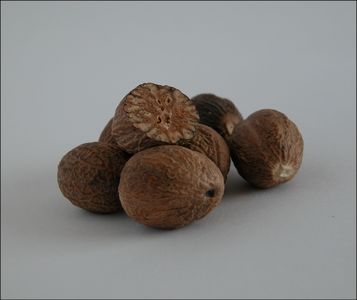 Myristica fragrans