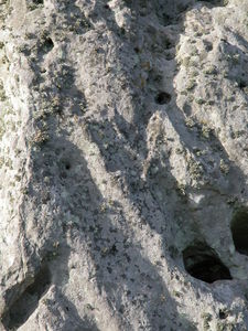 Close-up of the Heel-Stone Megalith
