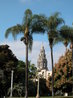 Balboa Park