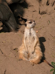 Sitting down on the job