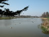 Blickling Hall