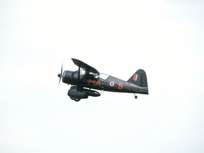 Westland Lysander III