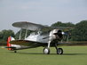 Gloster Gladiator