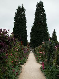 The Gardens of the Rose