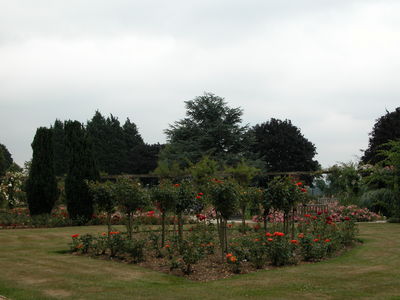The Gardens of the Rose