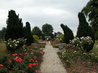 The Gardens of the Rose