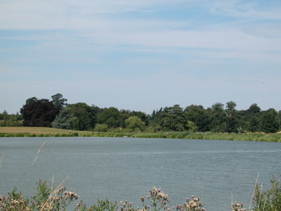 Gardens