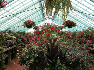 Greenhouses
