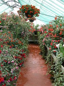 Greenhouses