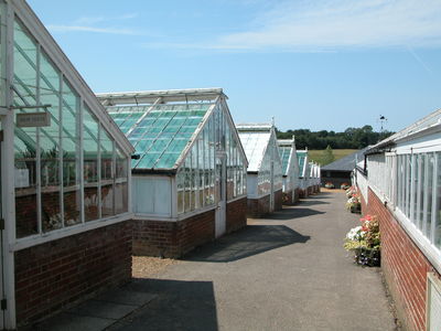 Greenhouses