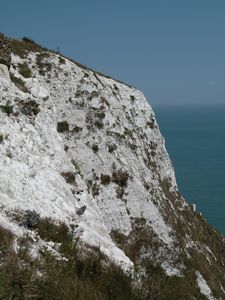 White Cliffs of Dover