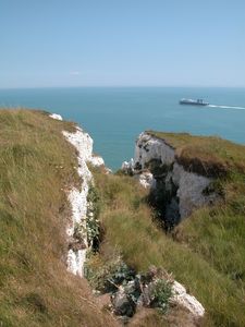 White Cliffs of Dover