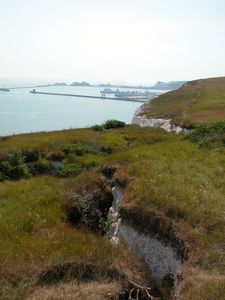 White Cliffs of Dover