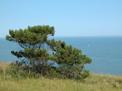 White Cliffs of Dover