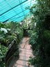 Greenhouses