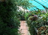 Greenhouses