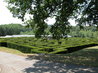 The Maze